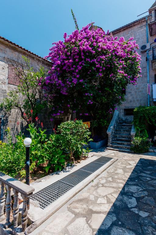 Celine'S Place By The Sea Kotor Exterior photo