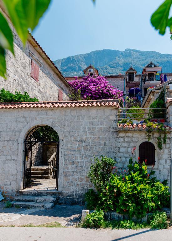 Celine'S Place By The Sea Kotor Exterior photo